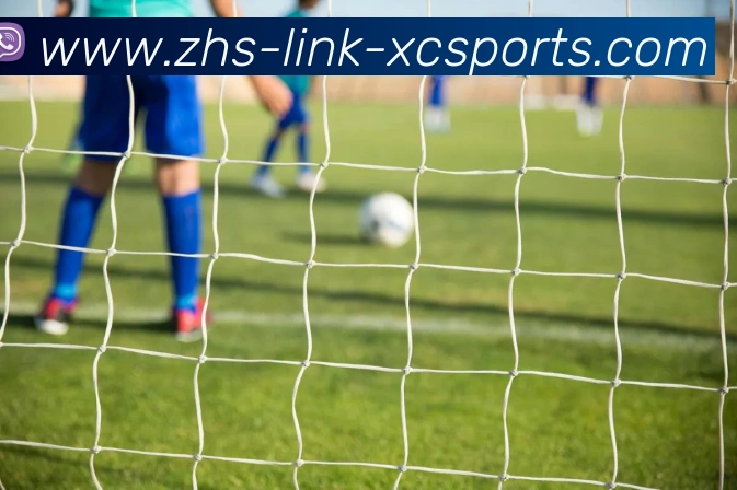 世俱杯对非洲足球青训体系的激励作用及发展建议