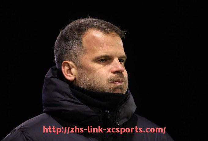 杏彩体育-法甲球队阵容解析：主力阵型与替补深度全面评估